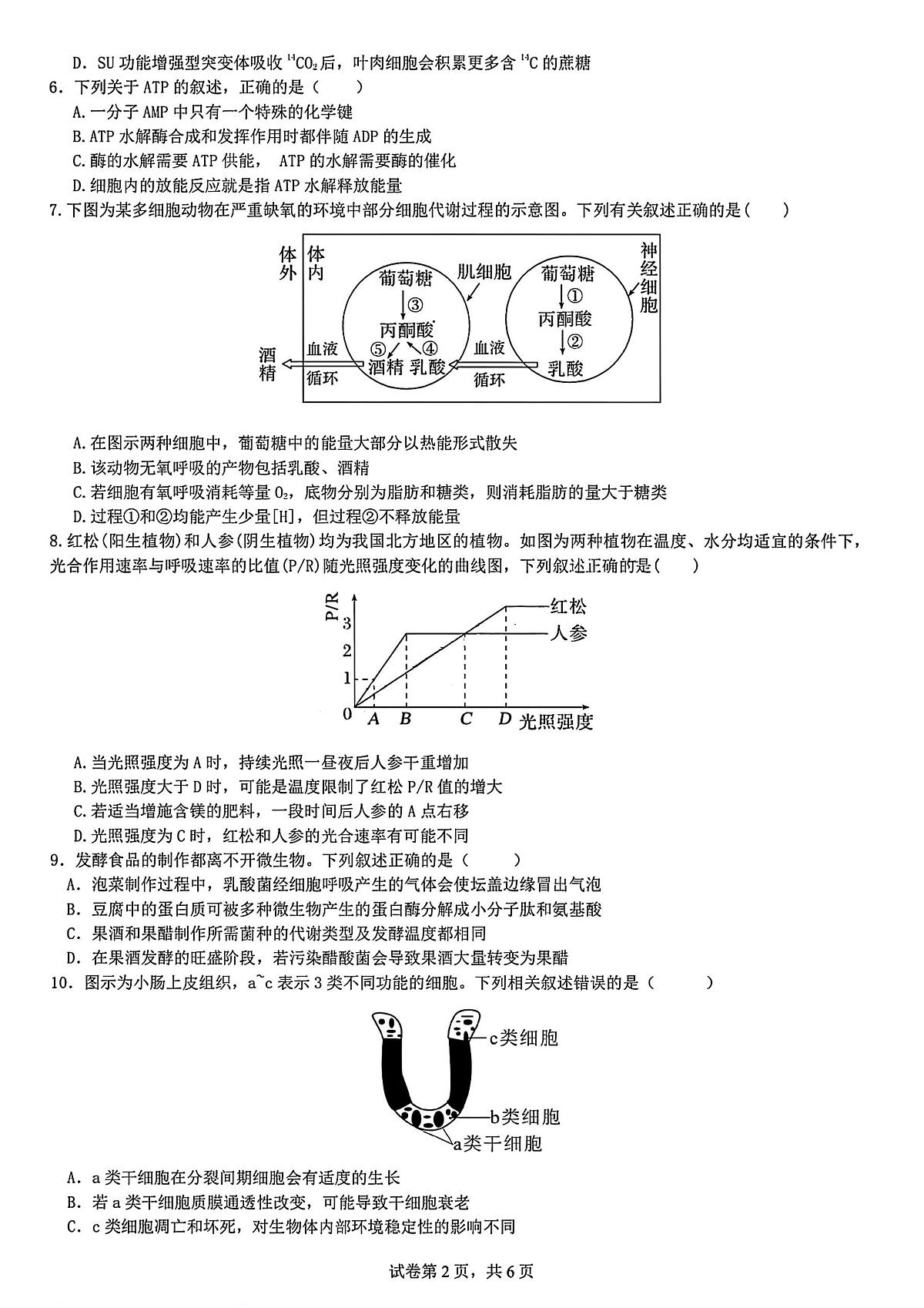 四川省成都市第七中学2024-2025学年度下期高2026届零诊模拟考试生物试题【含答案】第2页