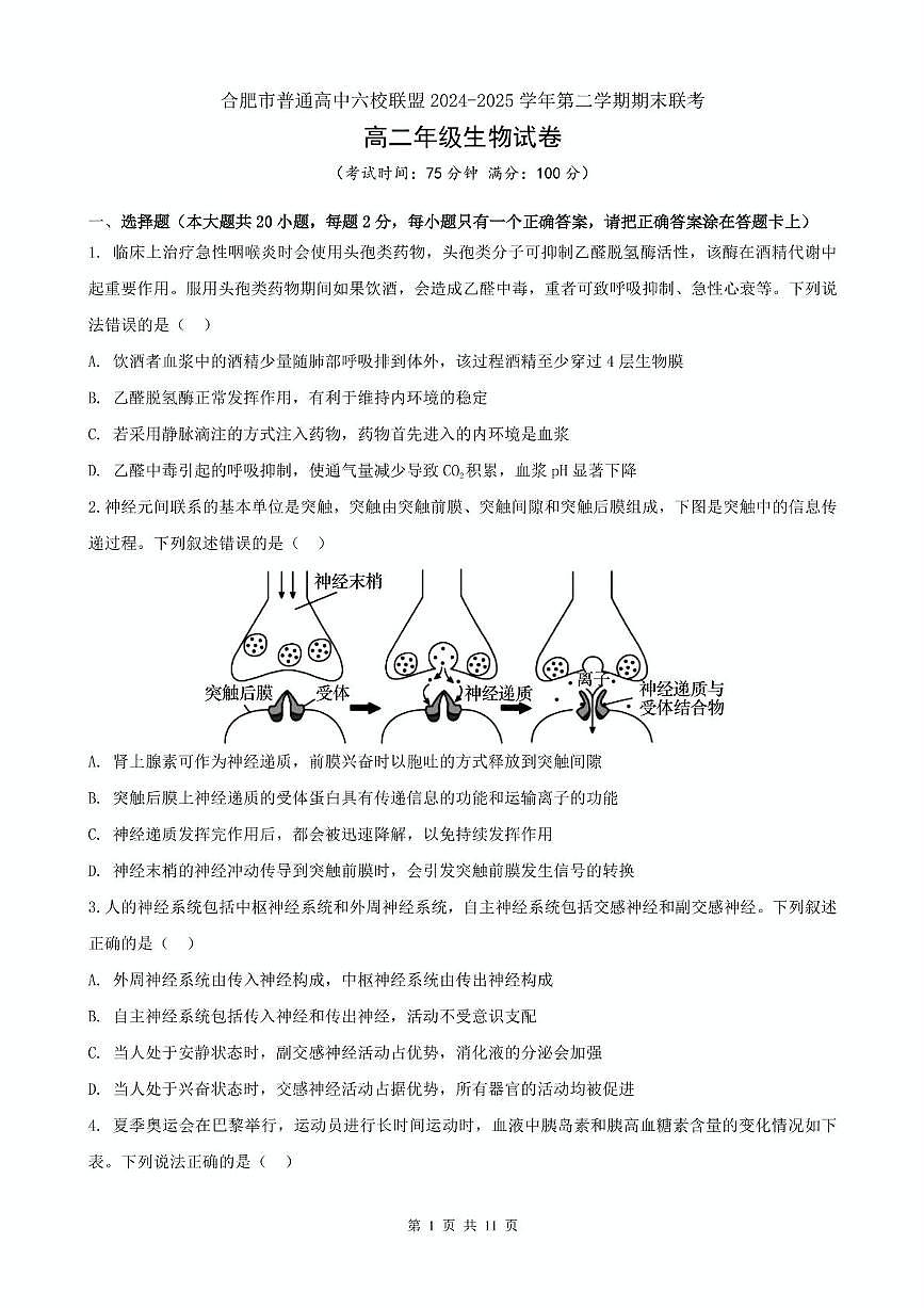 安徽省合肥市普通高中六校联盟2024-2025学年高二下学期期末考试 生物 PDF版含答案第1页