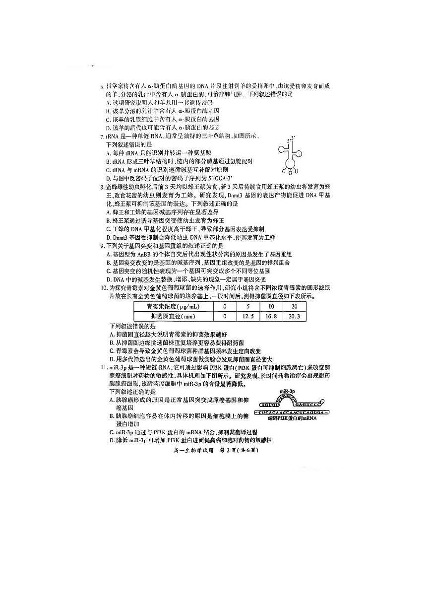 福建省厦门市2024-2025学年高一下学期期末质量检测生物试卷（图片版，含答案）第2页