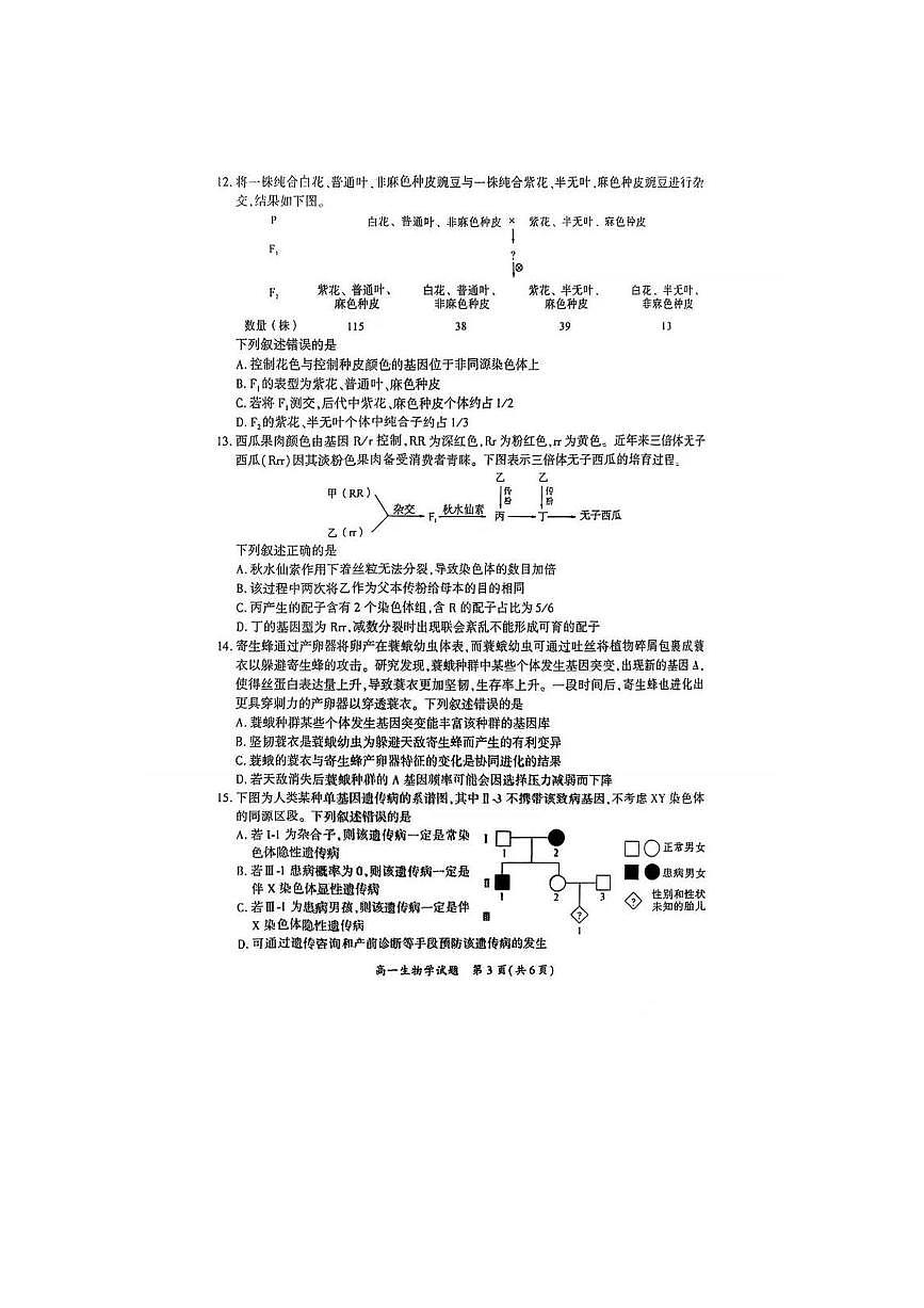 福建省厦门市2024-2025学年高一下学期期末质量检测生物试卷（图片版，含答案）第3页