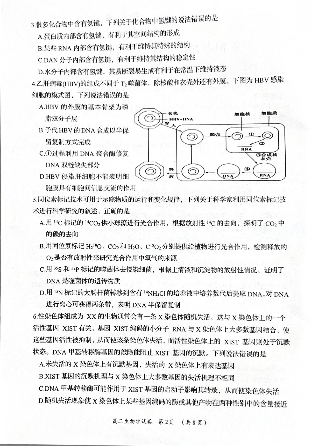 湖南省岳阳市2024-2025学年高二下学期7月期末生物试题第2页