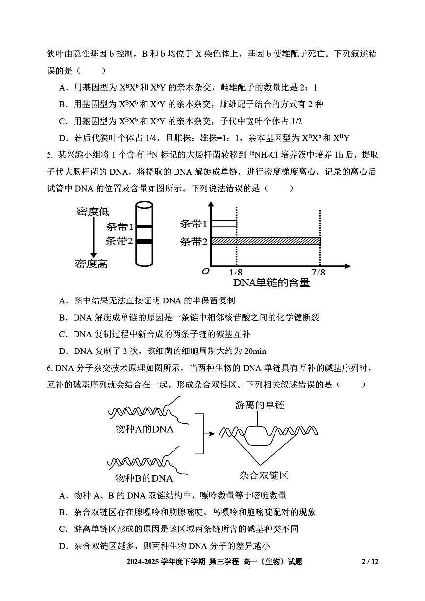 吉林省长春市十一高中2024-2025学年高一下学期第三学程考试（期末）生物试卷(图片版含答案)第2页