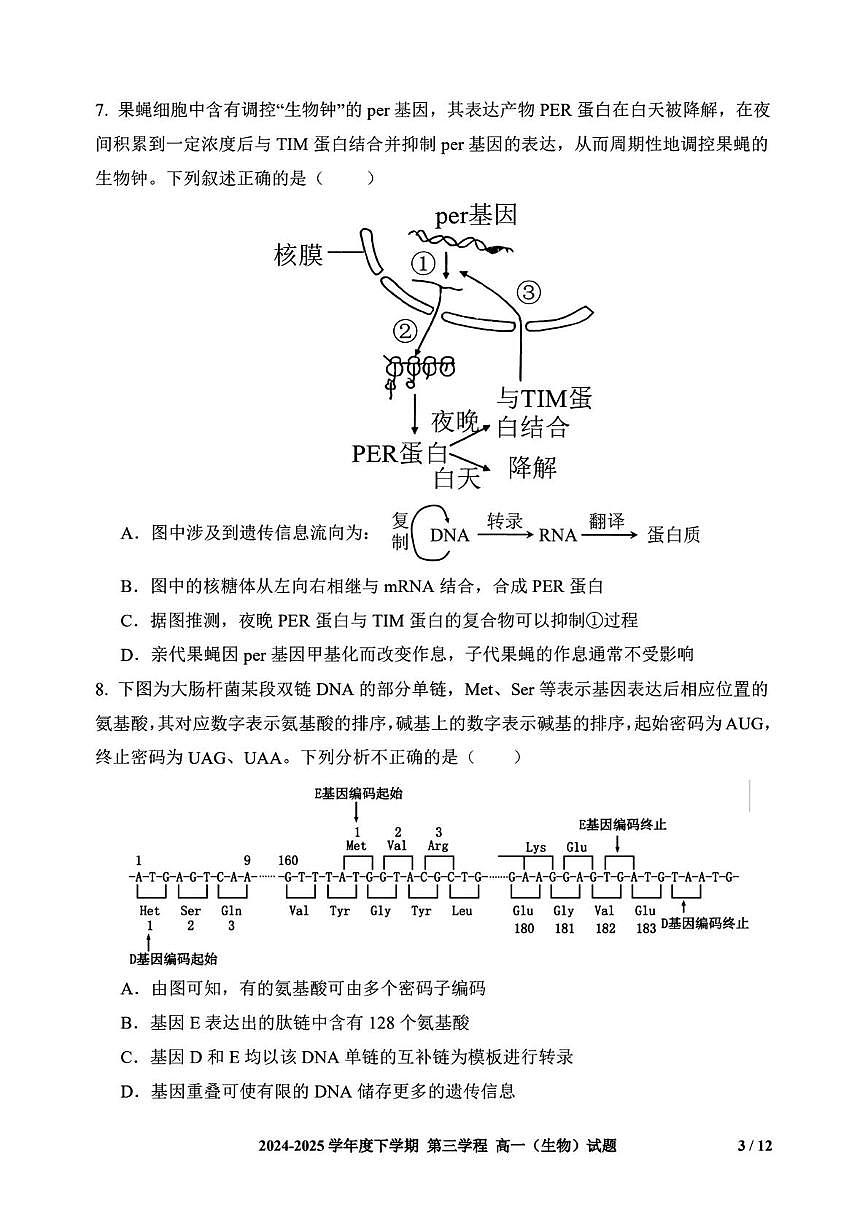 吉林省长春市十一高中2024-2025学年高一下学期第三学程考试（期末）生物试卷(图片版含答案)第3页