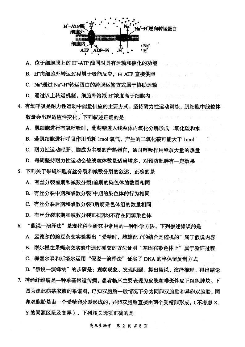 山西省大同市2026届高三上学期第一次学情调研教学质量监测（高二下学期期末）生物试题第2页