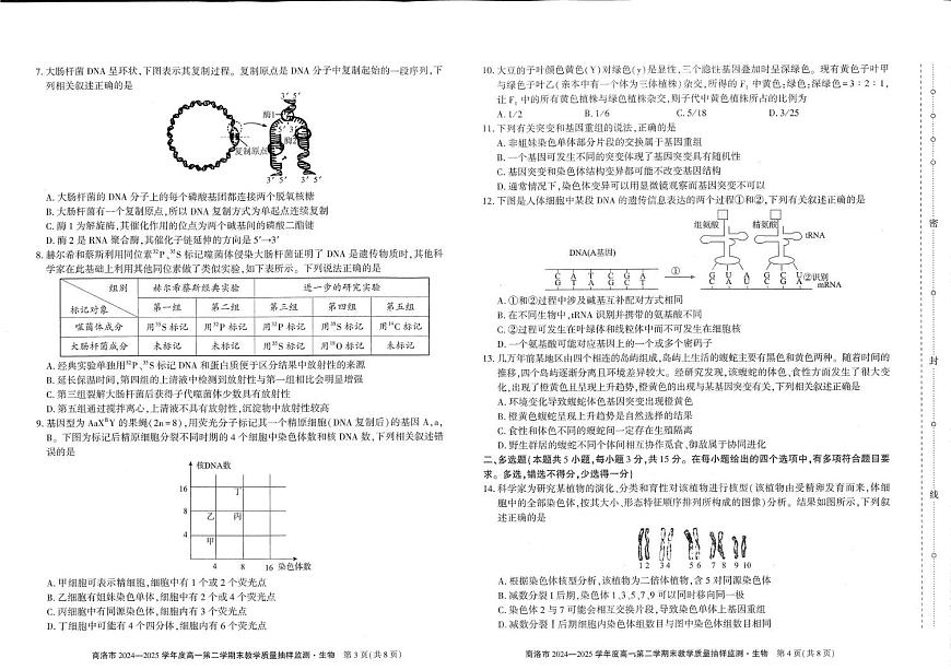 陕西省商洛市2024-2025学年高一下学期7月期末联考生物试题（PDF版，无答案）第2页