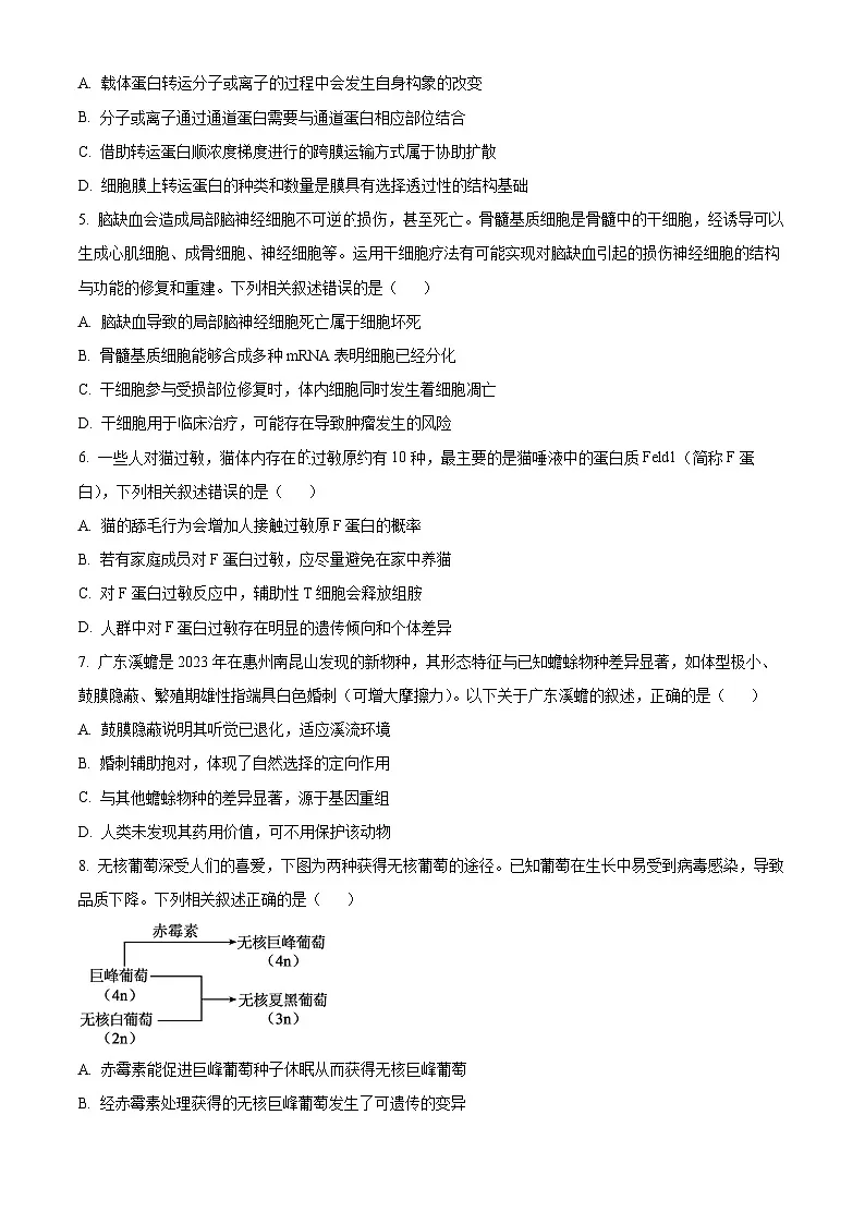 2026届广东省惠州市高三第一次调研考试生物试题 Word版无答案第2页