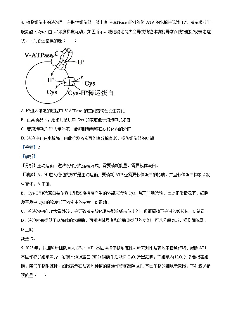 2026届四川省成都石室中学高三零诊模拟考试生物试题  Word版含解析第3页