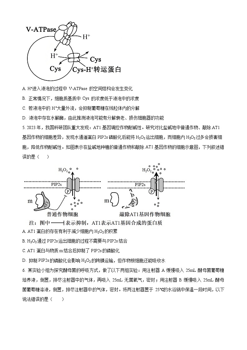2026届四川省成都石室中学高三零诊模拟考试生物试题  Word版无答案第2页