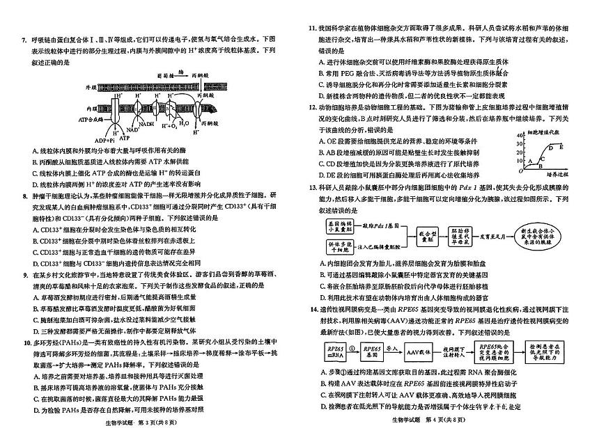 四川省成都市2026届高三上学期摸底考试（零诊）生物试卷（PDF版附答案）第2页