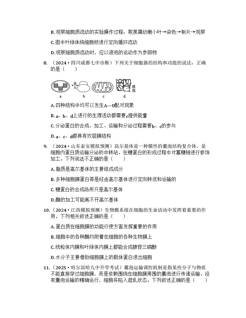 2026届高考生物一轮基础复习训练6 细胞器之间的分工与合作第3页