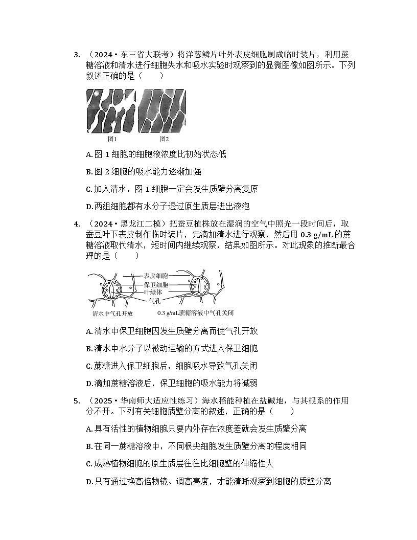 2026届高考生物一轮基础复习训练8  水进出细胞的原理第2页