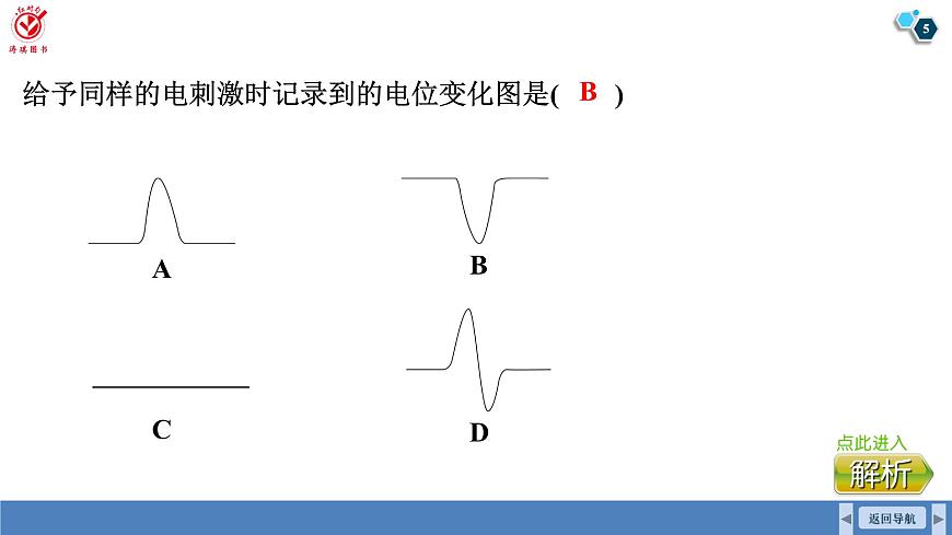高考生物【一轮复习】课件   第八单元   微专题七　兴奋传导与传递的相关实验探究第5页