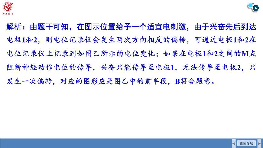 高考生物【一轮复习】课件   第八单元   微专题七　兴奋传导与传递的相关实验探究第6页