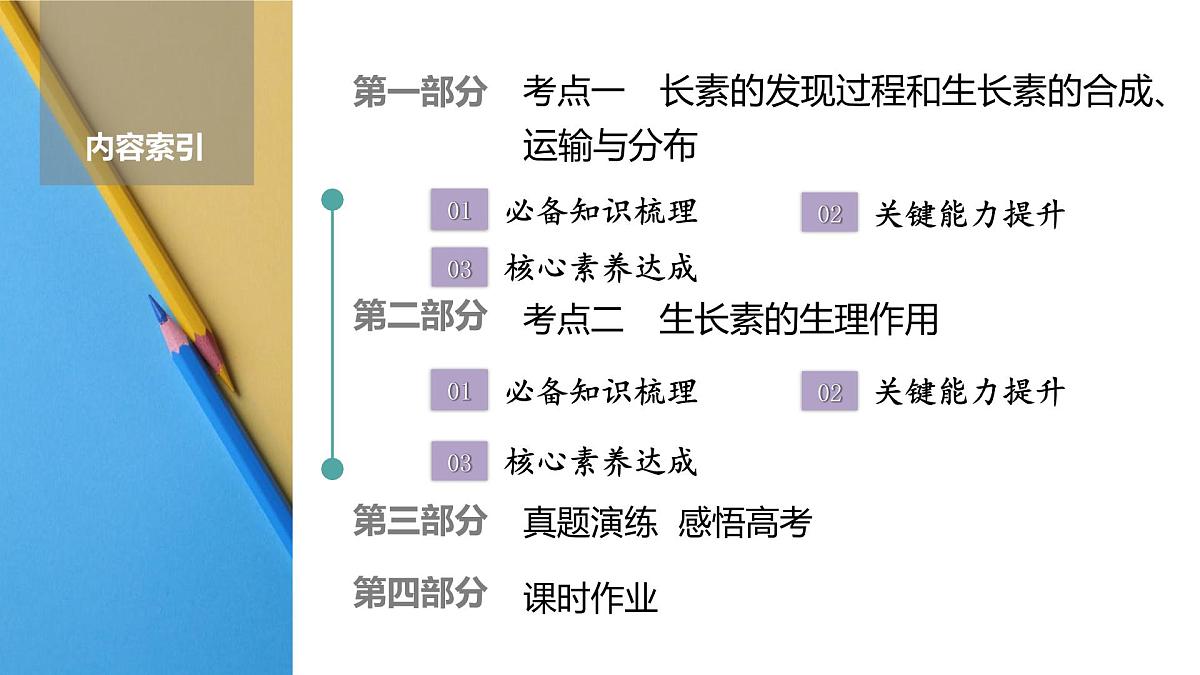 高考生物【一轮复习】课件   第八单元   第41课时　植物生长素第2页