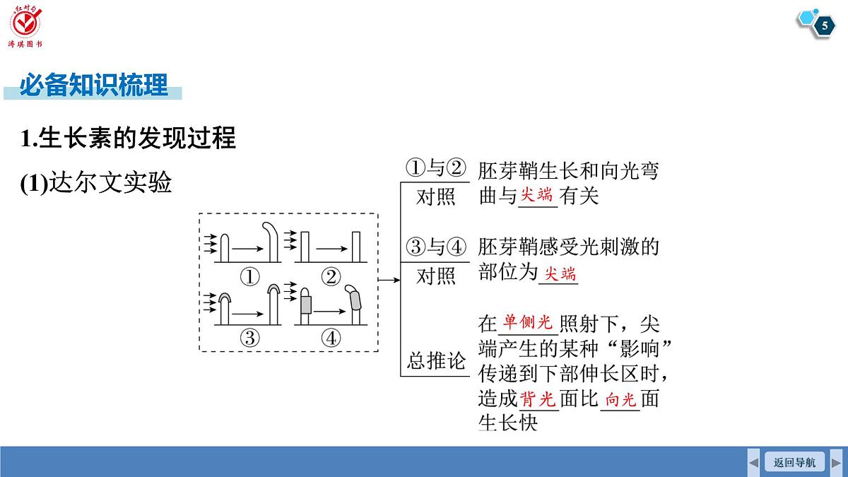 高考生物【一轮复习】课件   第八单元   第41课时　植物生长素第5页