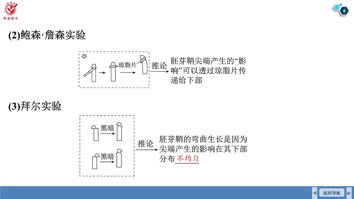 高考生物【一轮复习】课件   第八单元   第41课时　植物生长素第6页