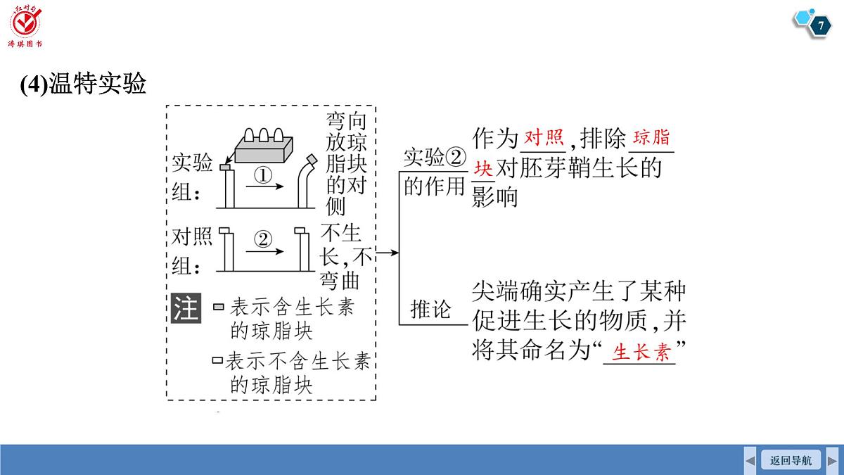 高考生物【一轮复习】课件   第八单元   第41课时　植物生长素第7页