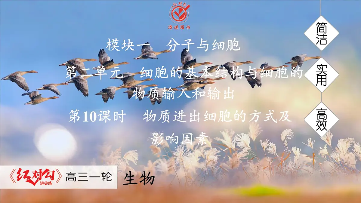高考生物【一轮复习】课件　第二单元　第十课时　物质进出细胞的方式及影响因素第1页