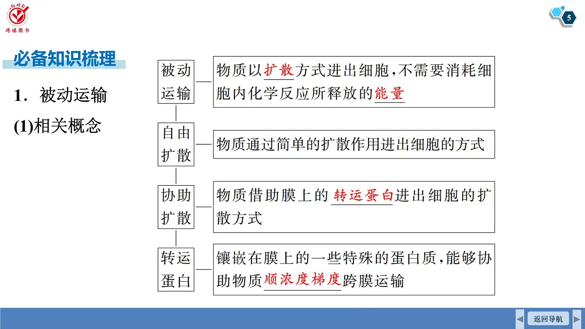 高考生物【一轮复习】课件　第二单元　第十课时　物质进出细胞的方式及影响因素第5页