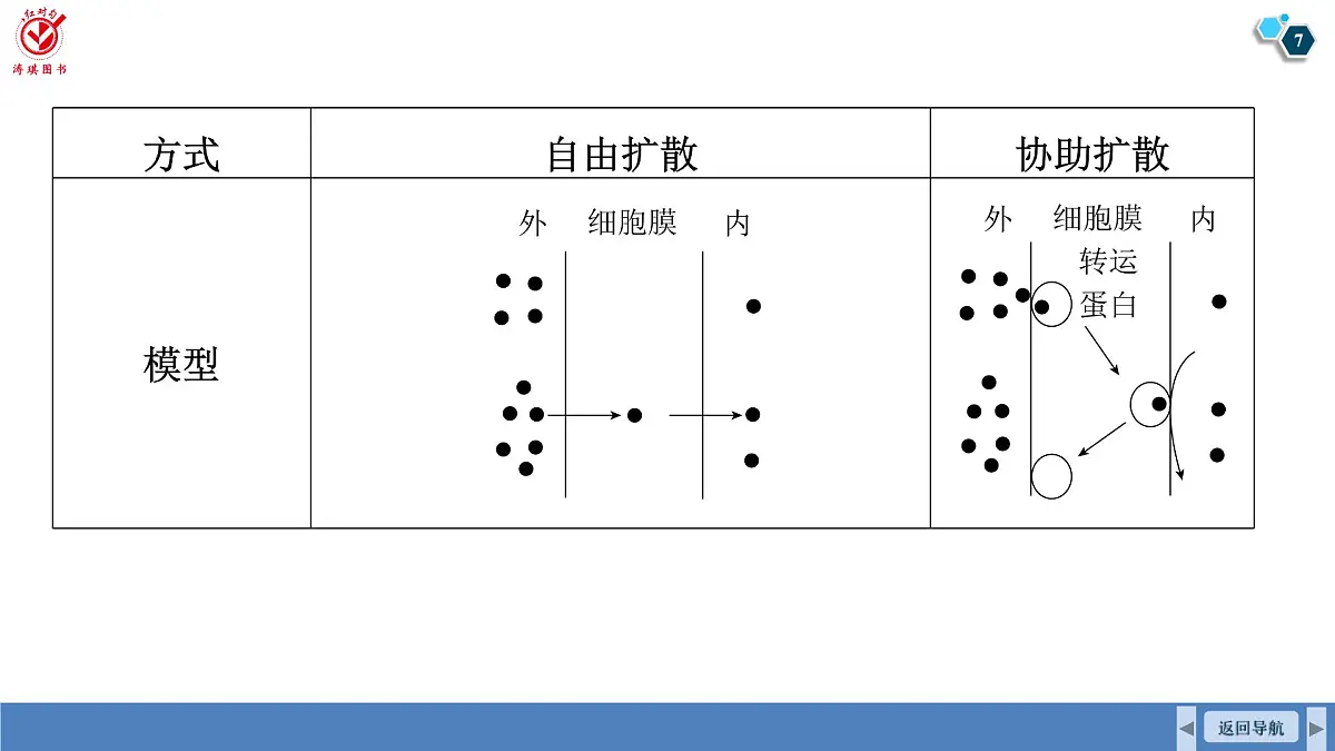 高考生物【一轮复习】课件　第二单元　第十课时　物质进出细胞的方式及影响因素第7页