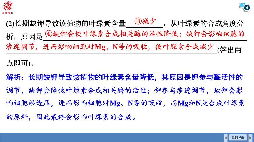 高考生物【一轮复习】课件　第三单元　长句表达（一）与细胞代谢有关的物质变化及生理过程分析第6页