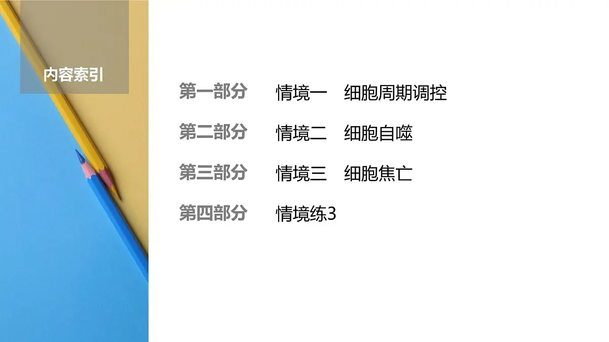 高考生物【一轮复习】课件　第四单元　命题情境3　细胞周期调控、细胞自噬和细胞焦亡第2页