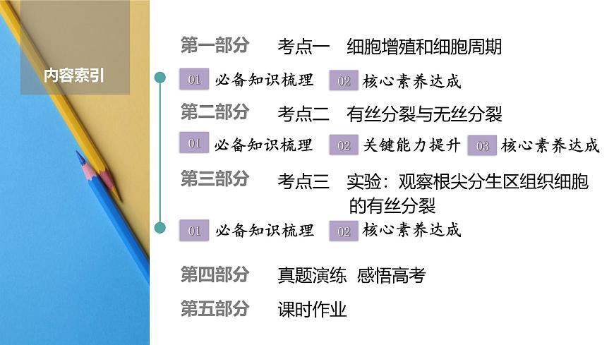 高考生物【一轮复习】课件　第四单元　第一十七课时　细胞的增殖第2页