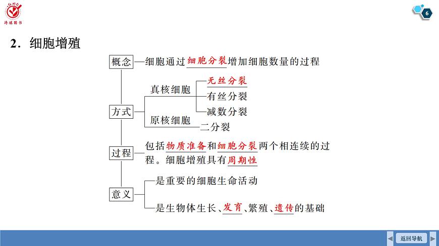 高考生物【一轮复习】课件　第四单元　第一十七课时　细胞的增殖第6页