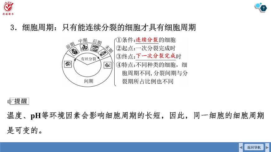 高考生物【一轮复习】课件　第四单元　第一十七课时　细胞的增殖第7页