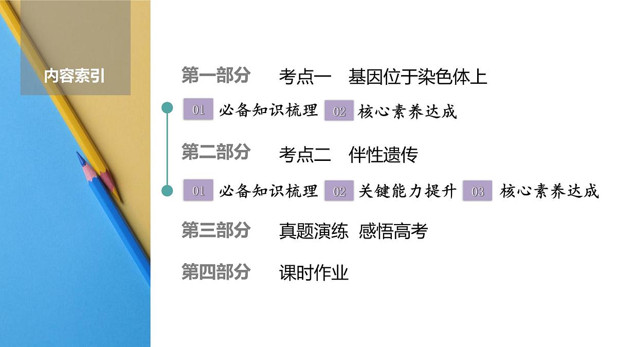 高考生物【一轮复习】课件　第五单元　第二十四课时　基因在染色体上和伴性遗传第2页