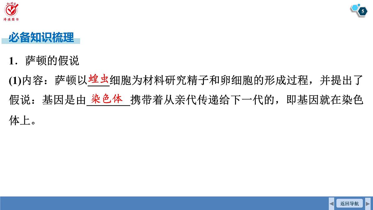 高考生物【一轮复习】课件　第五单元　第二十四课时　基因在染色体上和伴性遗传第5页