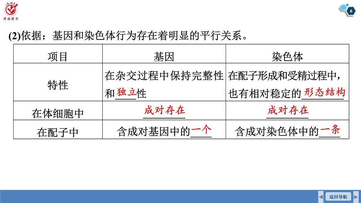 高考生物【一轮复习】课件　第五单元　第二十四课时　基因在染色体上和伴性遗传第6页