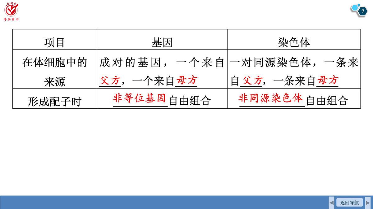 高考生物【一轮复习】课件　第五单元　第二十四课时　基因在染色体上和伴性遗传第7页