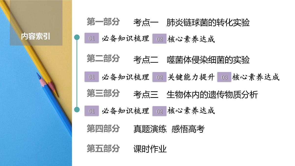 高考生物【一轮复习】课件　第六单元　第二十六课时　DNA是主要的遗传物质第2页