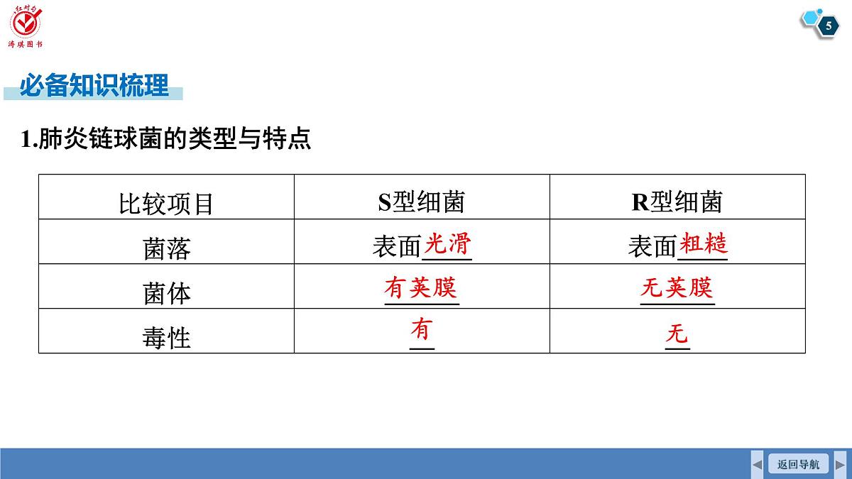 高考生物【一轮复习】课件　第六单元　第二十六课时　DNA是主要的遗传物质第5页