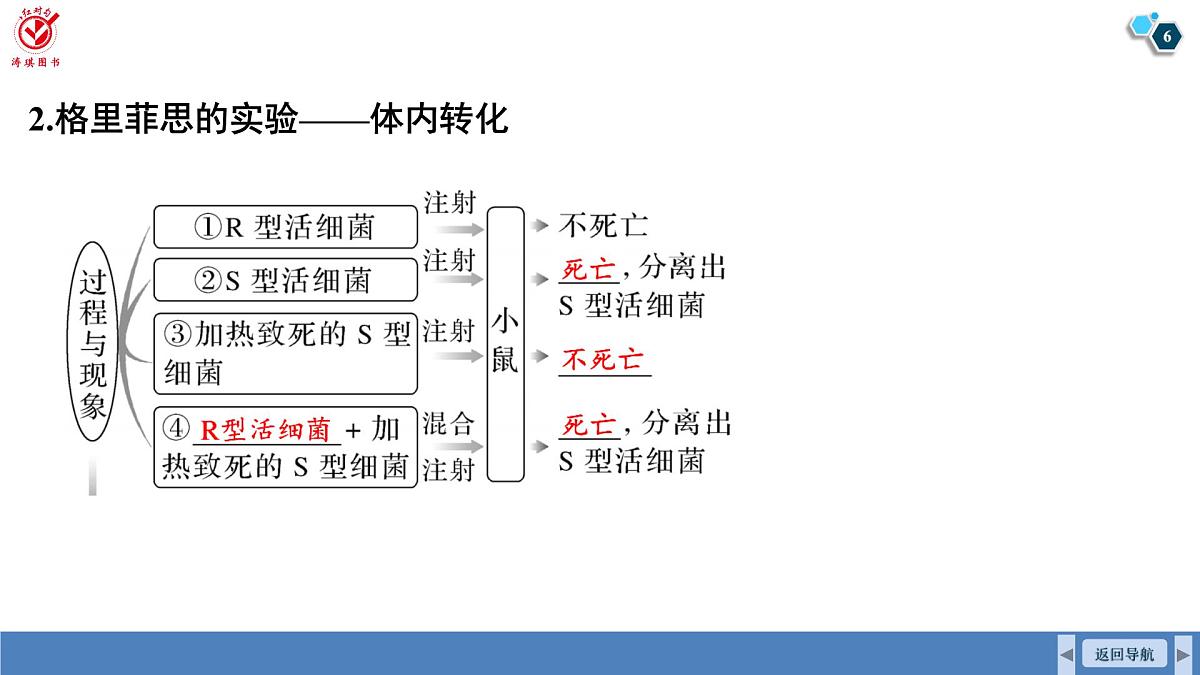 高考生物【一轮复习】课件　第六单元　第二十六课时　DNA是主要的遗传物质第6页