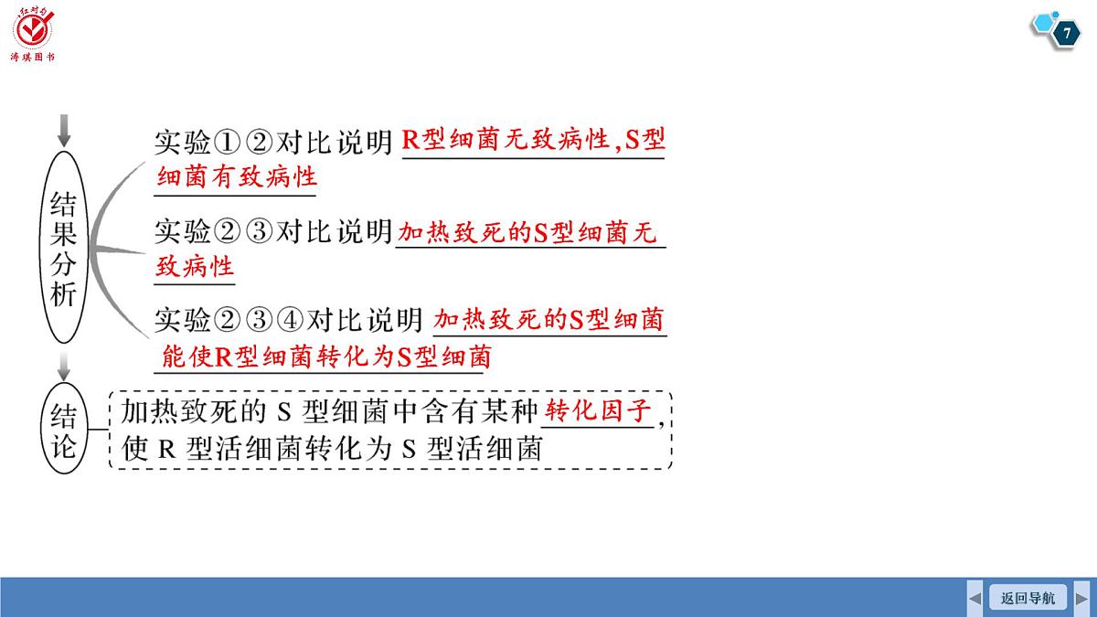高考生物【一轮复习】课件　第六单元　第二十六课时　DNA是主要的遗传物质第7页