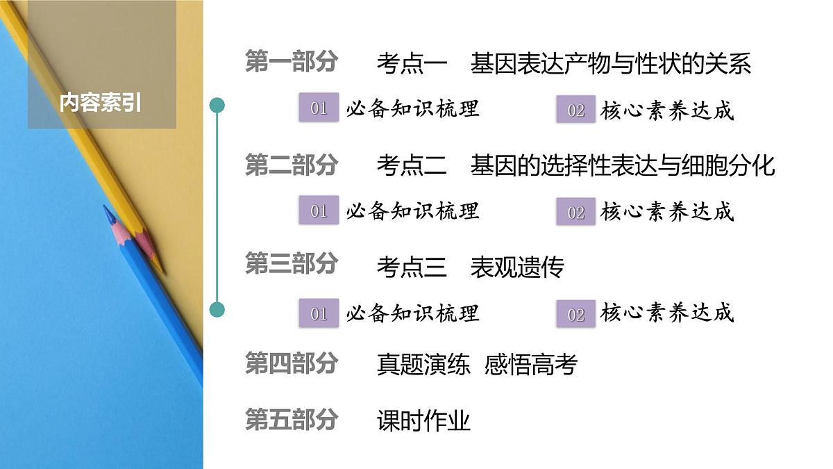 高考生物【一轮复习】课件　第六单元　第二十九课时　基因表达与性状的关系第2页