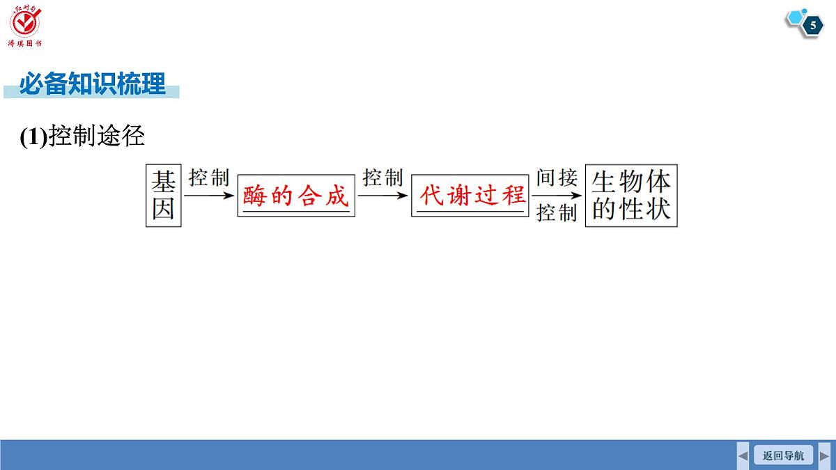 高考生物【一轮复习】课件　第六单元　第二十九课时　基因表达与性状的关系第5页