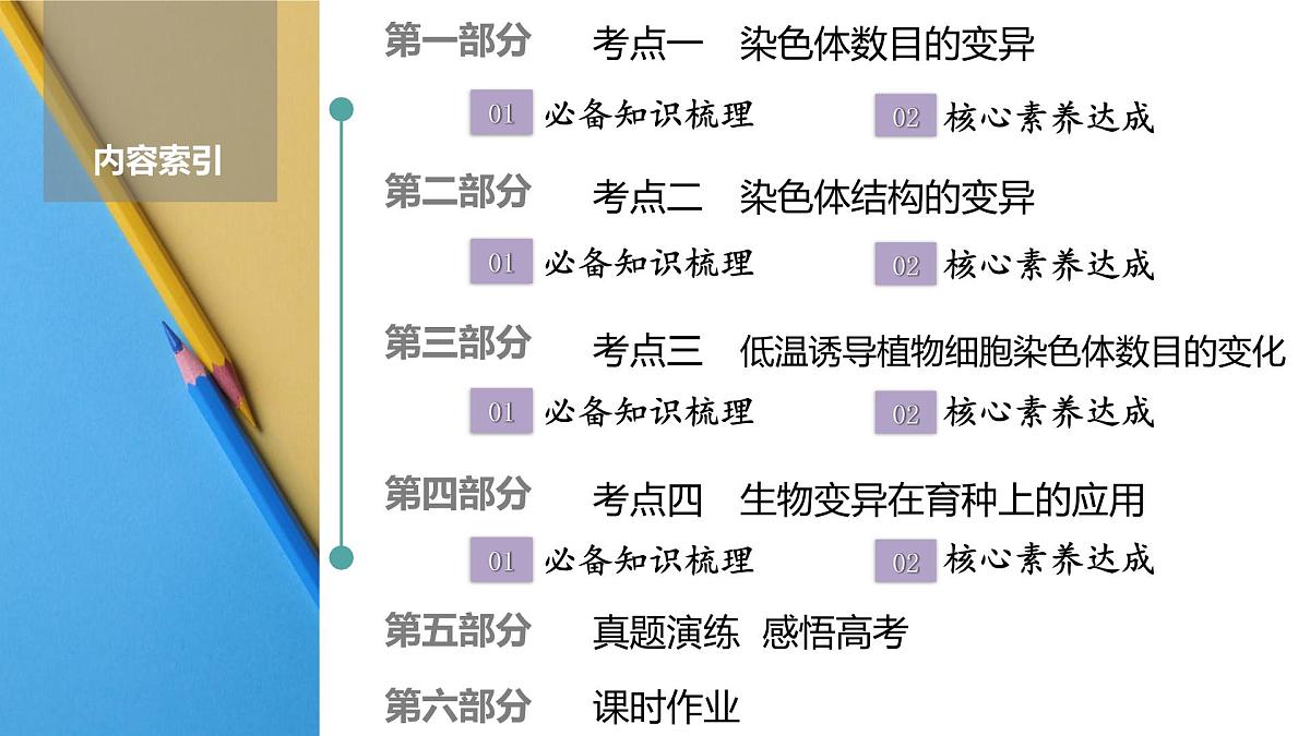 高考生物【一轮复习】课件　第七单元　第31课时　染色体变异与育种 (2)第2页