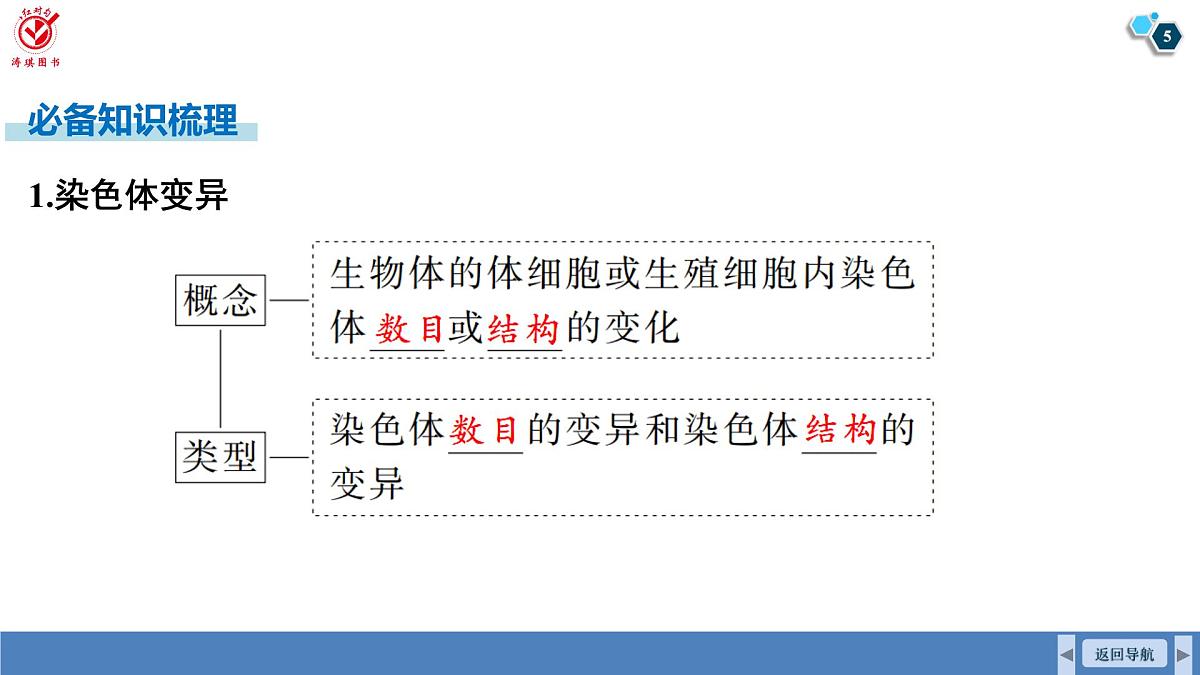 高考生物【一轮复习】课件　第七单元　第31课时　染色体变异与育种 (2)第5页