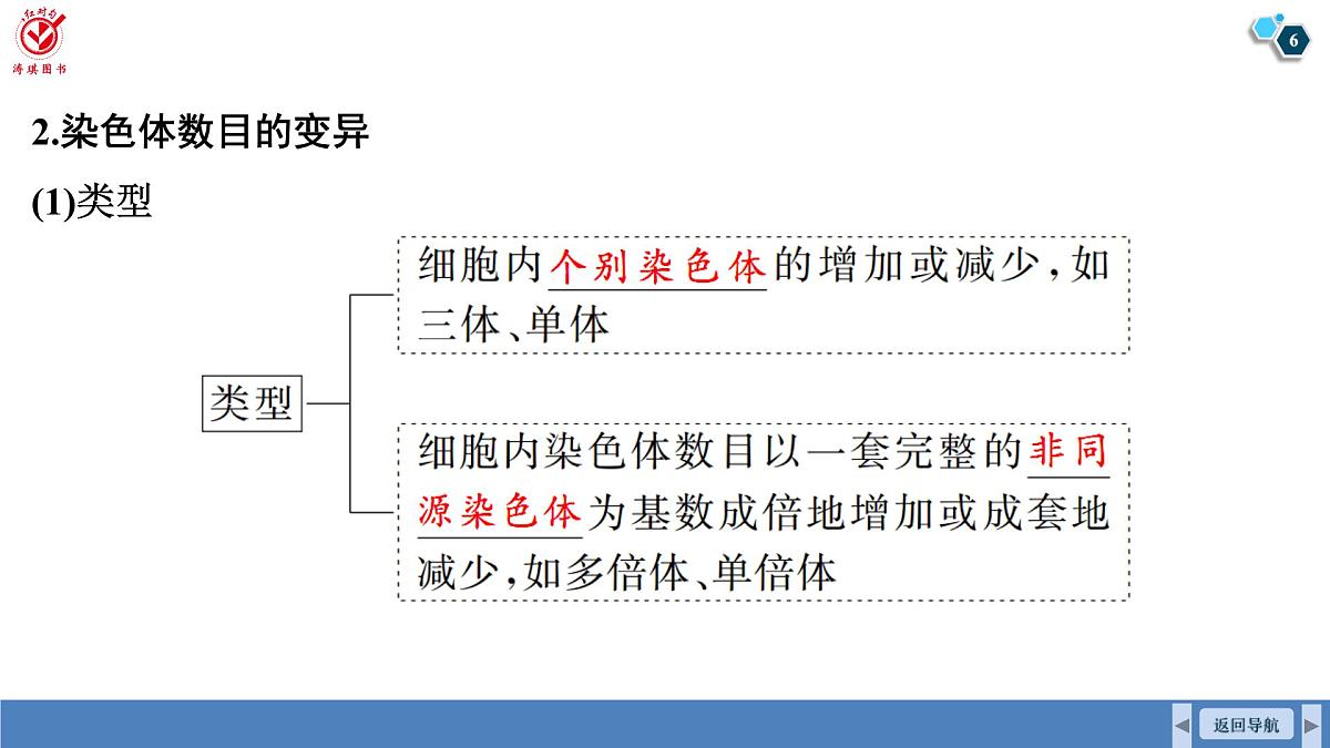 高考生物【一轮复习】课件　第七单元　第31课时　染色体变异与育种 (2)第6页