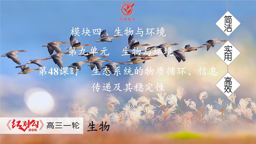 高考生物【一轮复习】课件　第九单元　第48课时　生态系统的物质循环、信息传递及其稳定性第1页