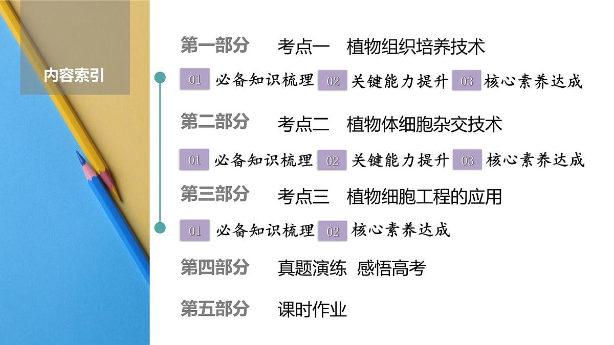 高考生物【一轮复习】课件　第十单元　第52课时　植物细胞工程第2页