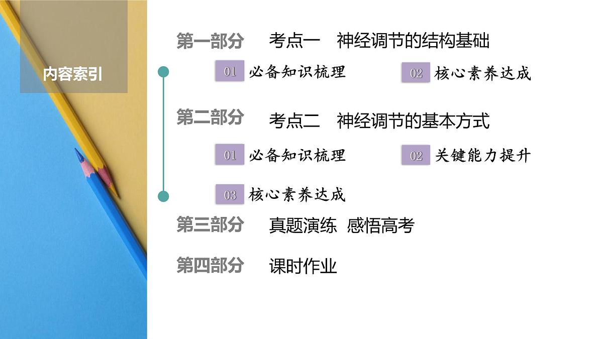 高考生物【一轮复习】课件第八单元   第34课时　人体的内环境与稳态第2页