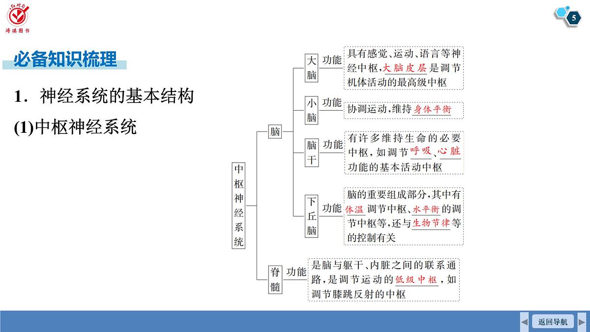 高考生物【一轮复习】课件第八单元   第34课时　人体的内环境与稳态第5页