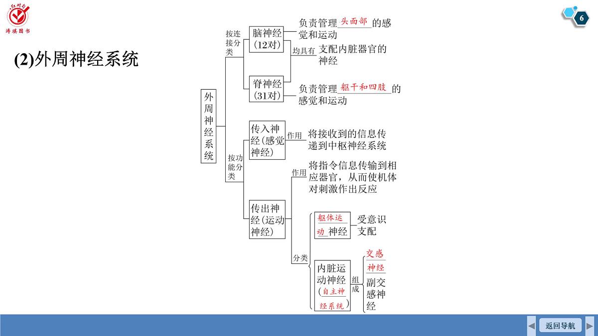 高考生物【一轮复习】课件第八单元   第34课时　人体的内环境与稳态第6页