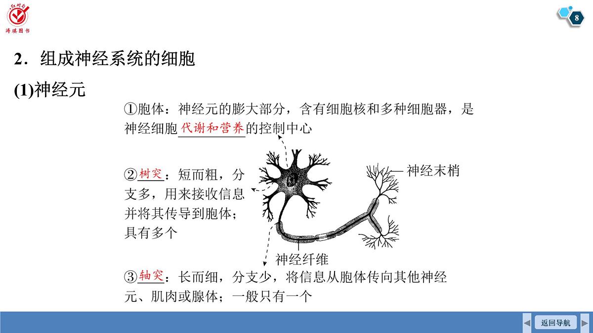 高考生物【一轮复习】课件第八单元   第34课时　人体的内环境与稳态第8页