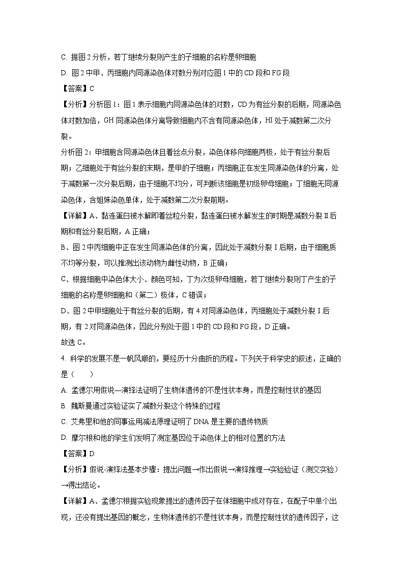 安徽省A10联盟2024-2025学年高一下学期5月月考生物试卷（解析版）第3页