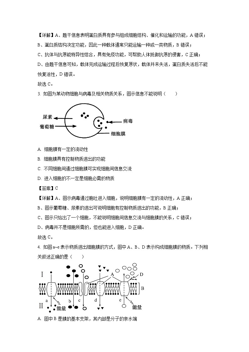 河南省开封市五县联考2023-2024学年高一下学期4月期中生物试卷（解析版）第2页